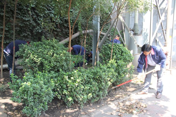 同興公司組織開展機(jī)關(guān)管理人員義務(wù)勞動 同興公司組織開展機(jī)關(guān)管理人員義務(wù)勞動