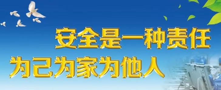 䓼F2019ꡰհȫץץ